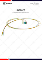 Паспорт (Пигтейлы).pdf
